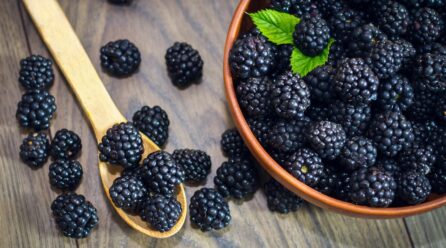 Benefits Of Blackberries For Men’s Health