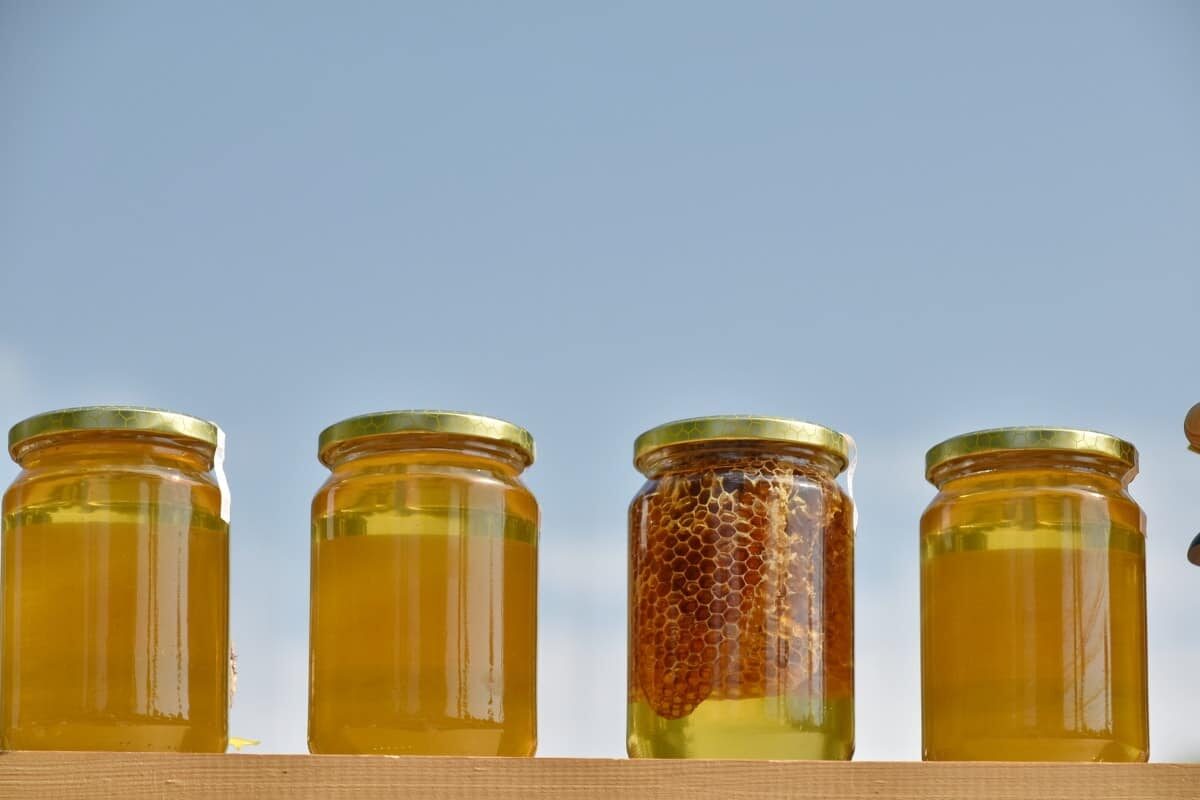 Best Honey Companies in Pakistan | Pure Organic Honey