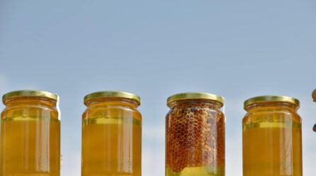 Best Honey Companies in Pakistan | Pure Organic Honey