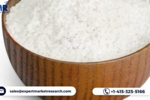 Global Monosodium Glutamate Market To Be Driven By The Amplifying Demand From The Food Processing Industries In The Forecast Period Of 2023-2028