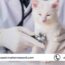 Veterinary Healthcare Market