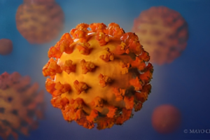 What Causes a Coronavirus?