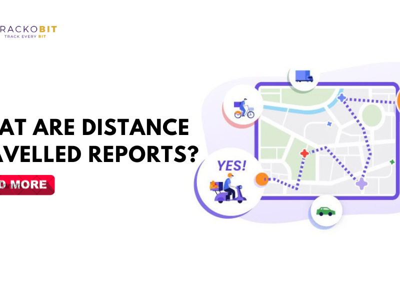 What are Distance Travelled Reports?