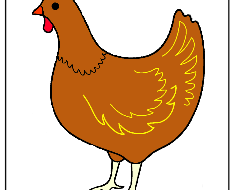 How to Draw Chicken Drawing