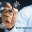 seo consultant